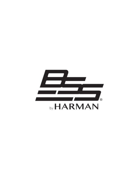 BSS